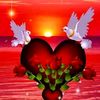 user1908066194597