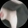 w012568