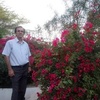 mohsen.fateh