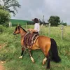 otaviano468