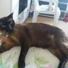 luzemarsantos3