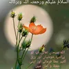 rube1503