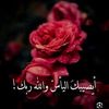 wael.emad54