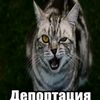 zqeosxxiew