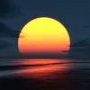 luong_0794
