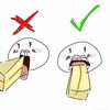 fair_light_🍞