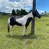 geu.santos3