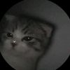 soy_1821tiago