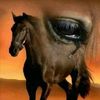 user636010420