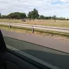 mendietvalen4