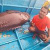 ilham_target