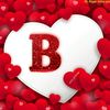 bristti3