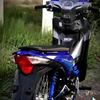 user6961488621147