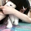 nisa_4353
