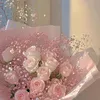 daria_official9