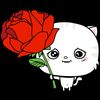 user9230235950490