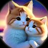 muhammadamjadkhan240
