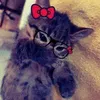 banh_mii_cha_lua
