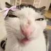 asmrtinglesbylilx