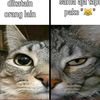 akumah.hok
