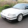 wlg210