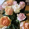eman.mghamis
