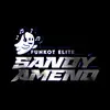 DJ_Sandy_AMENO