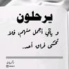 ali.al.halabi80