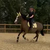 meganvsl245