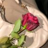 ariaf_16