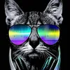 rider_oficial00