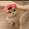 babibok9
