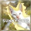 sunnycatsteam