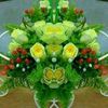 balqiisa.elmi