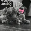 kk_kk211