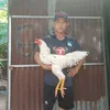 khanh.trn528