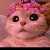 tonitaandrae