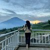 ftriann_2