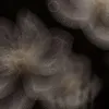 slowdusskkll15
