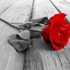 user785127121