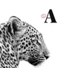 annabel6006
