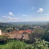 fred09558