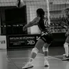 tavares_lari10