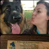 licaadestradora
