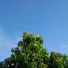gunawanbestar