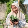 medita_halim