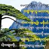 chinlaynaungnaung
