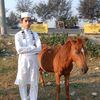 mdabdulhalim0.2