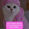 edith.botello