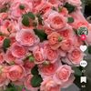 user3161454519078